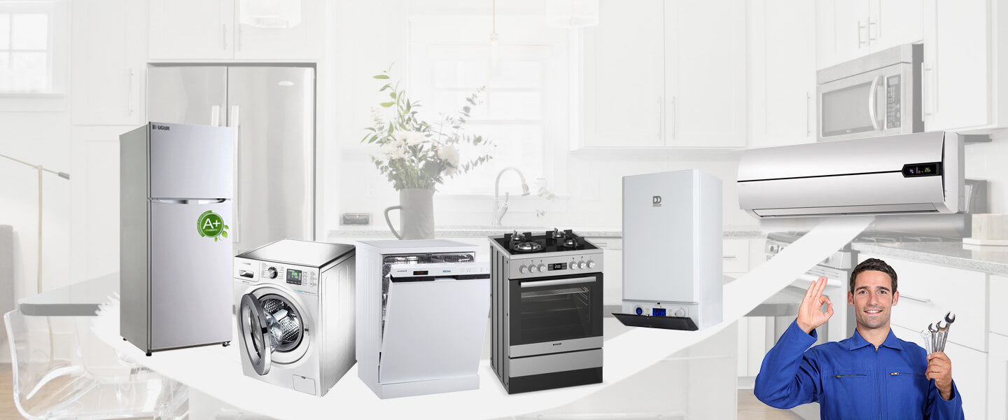 Alacakaya Daikin Servisi